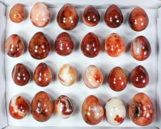 Lot: Lbs Polished Carnelian Eggs - Pieces #78113